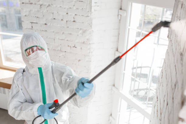 Best Mold Remediation for Healthcare Facilities  in Harlan, IA