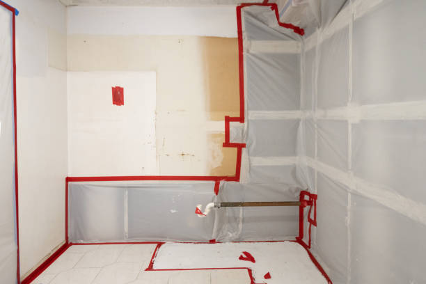 Best Post-Construction Mold Inspection  in Harlan, IA