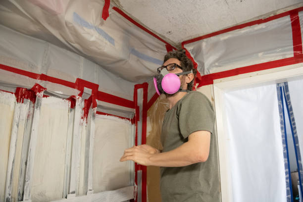 Mold Documentation for Insurance Claims in Harlan, IA