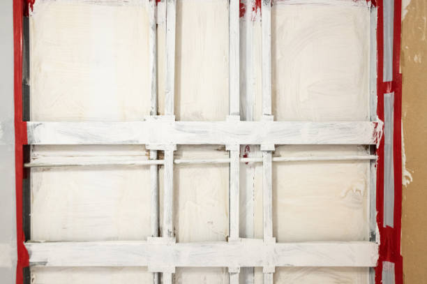 Best Mold Prevention Services  in Harlan, IA