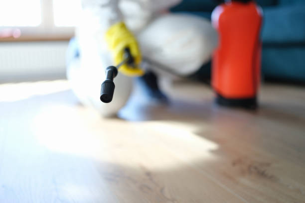 Best Water Damage & Mold Remediation  in Harlan, IA